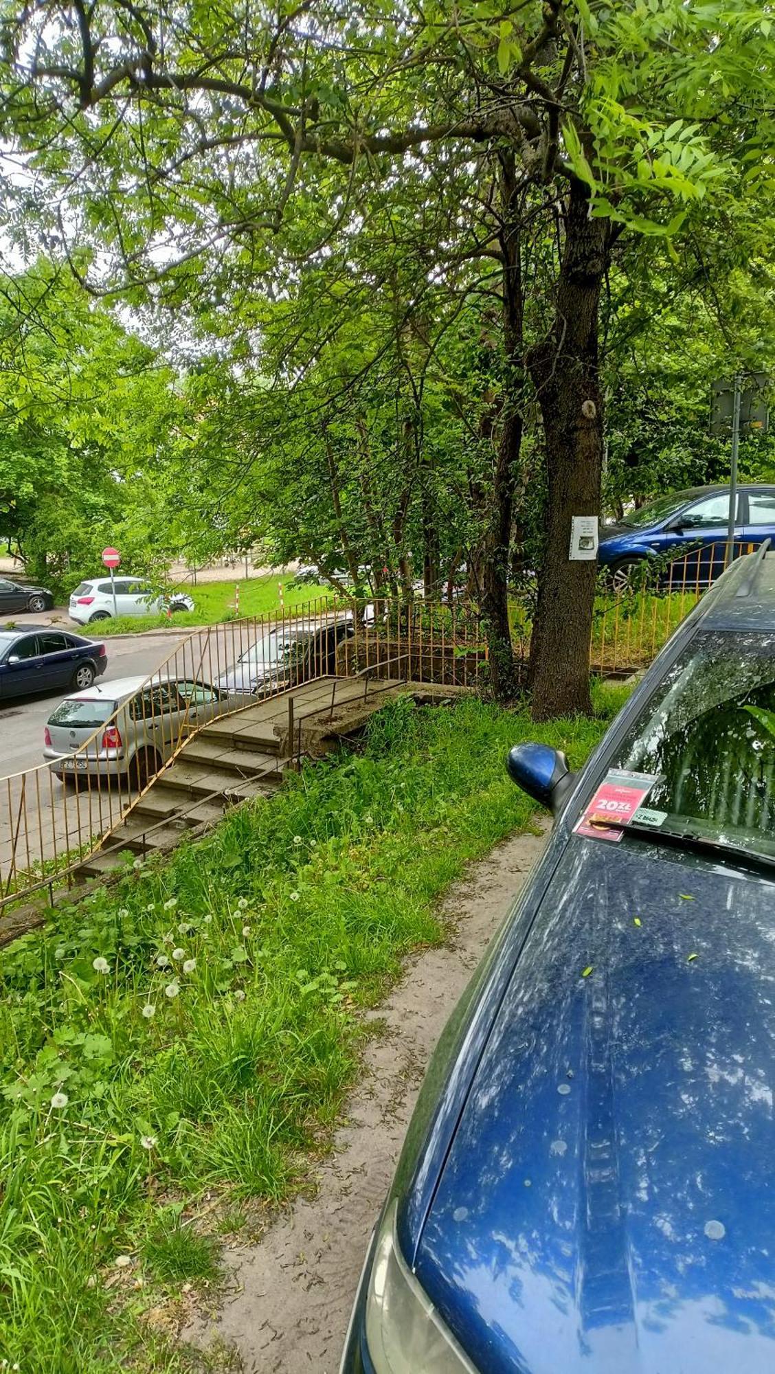 Drzewna Apartamenty - Wladyslawa Zielona Gora  Exterior photo