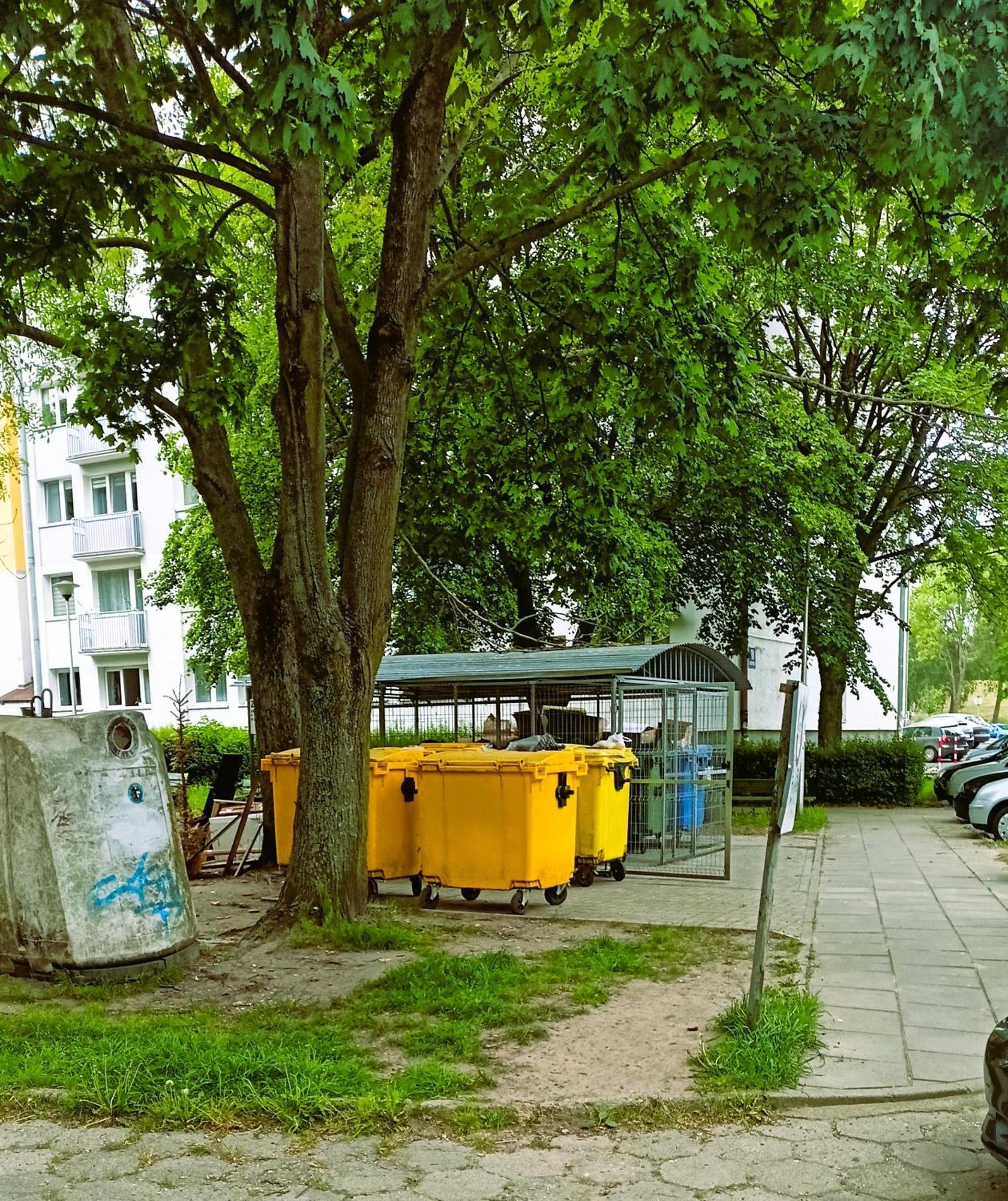 Drzewna Apartamenty - Wladyslawa Zielona Gora  Exterior photo